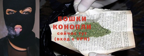 дживик Карпинск