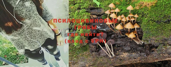 прущие крисы Карталы